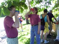 DCP 0009  Tee an einer der vielen Kontrollen